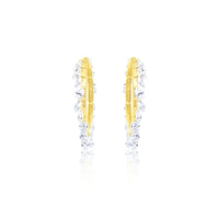 Drilled Hoops